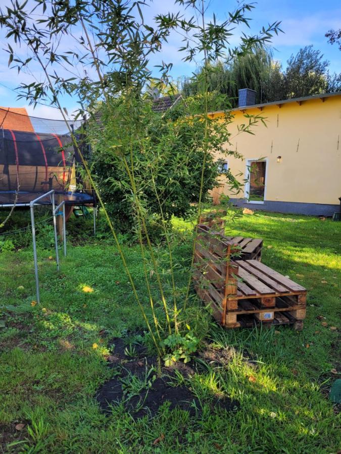 Haus Evelynchen Apartment 1 Deutschhof Fehrbellin Eksteriør billede